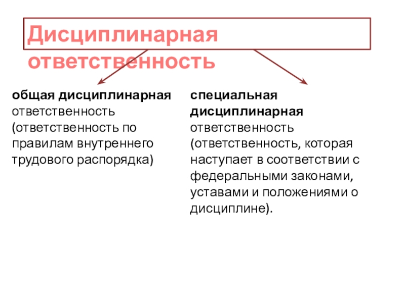 Черты дисциплинарной ответственности