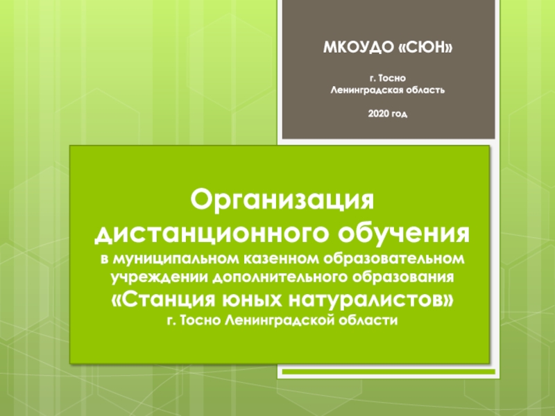 Организация дистанционного обучения в муниципальном казенном образовательном