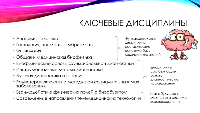 Биофизика человека проект