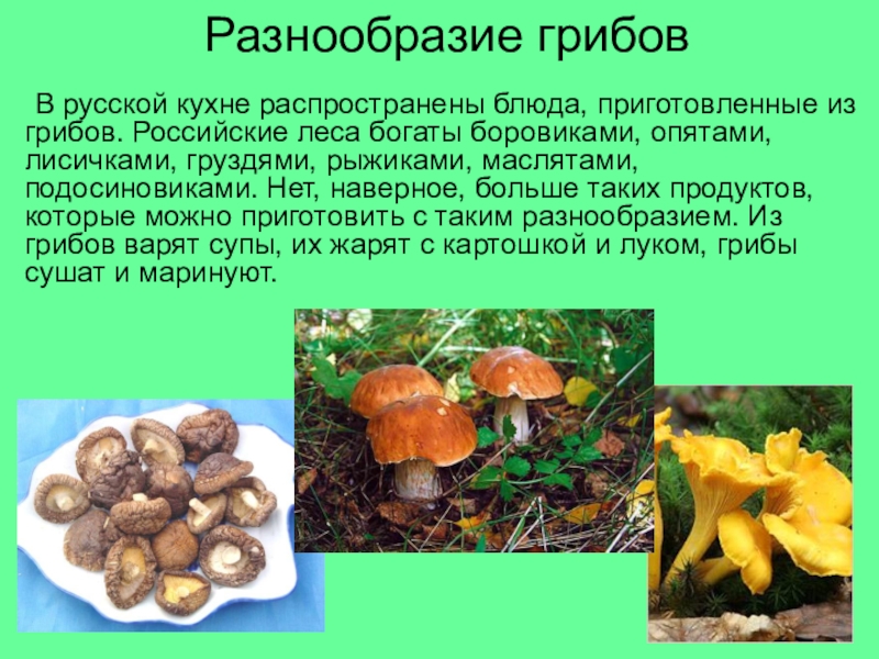 Разнообразие грибов	В русской кухне распространены блюда, приготовленные из грибов. Российские леса богаты боровиками, опятами, лисичками, груздями, рыжиками,