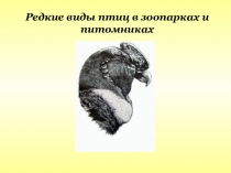 Редкие виды птиц в зоопарках и питомниках