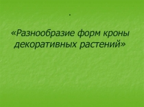 Разнообразие форм кроны декоративных растений
