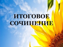 ИТОГОВОЕ СОЧИНЕНИЕ