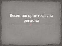 Весенняя орнитофауна региона
