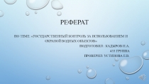 РЕФЕРАТ