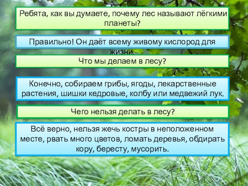 Основные преимущества свободной т е минимально связанной государственными ограничениями план текста