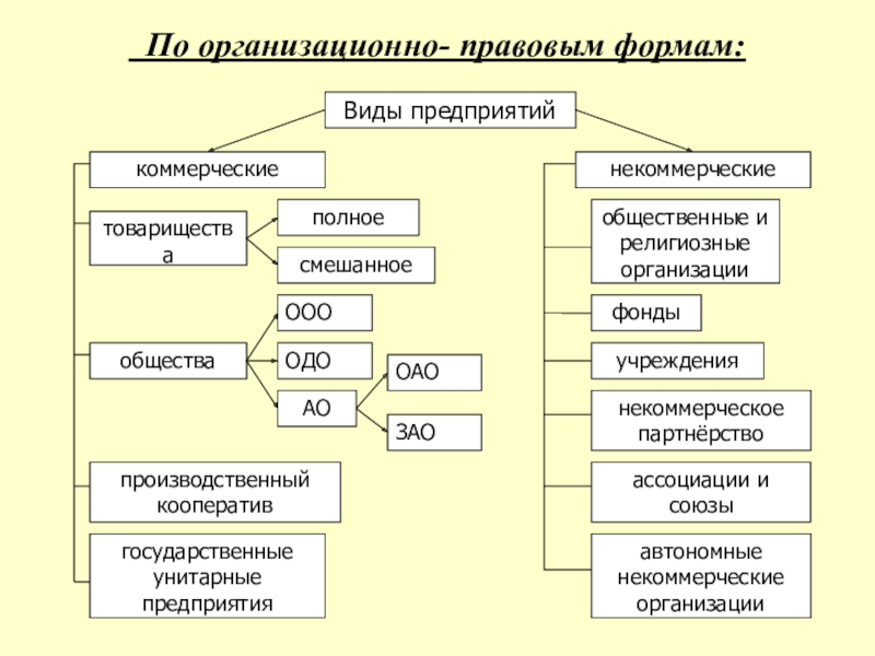 Организационно правовая и производственная формы