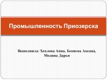 Промышленность Приозерска