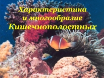 Характеристика
и многообразие
Кишечнополостных