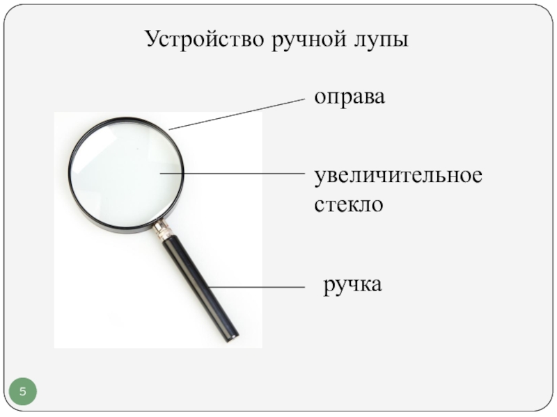 Ольга на уроке изучал устройство ручной лупы и делала соответствующие подписи к рисунку