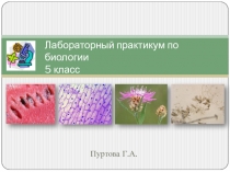 Лабораторный практикум по биологии 5 класс