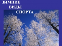 ЗИМНИЕ ВИДЫ СПОРТА