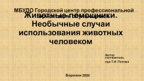 Животные-помощники. Необычные случаи использования животных человеком