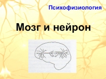 Психофизиология