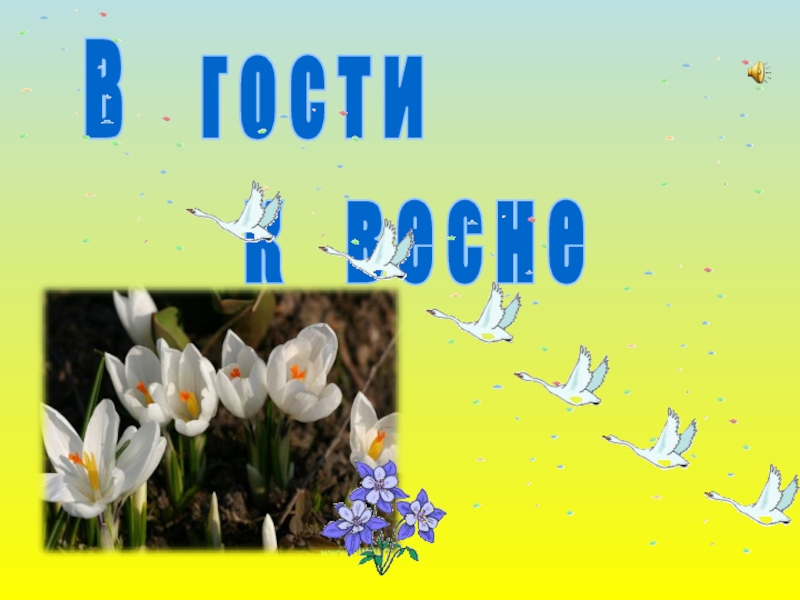 В г о с т и
к в е с н е