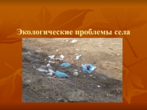 Экологические проблемы села