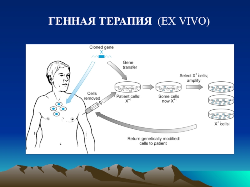 Генная терапия презентация