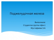 Поджелудочная железа
