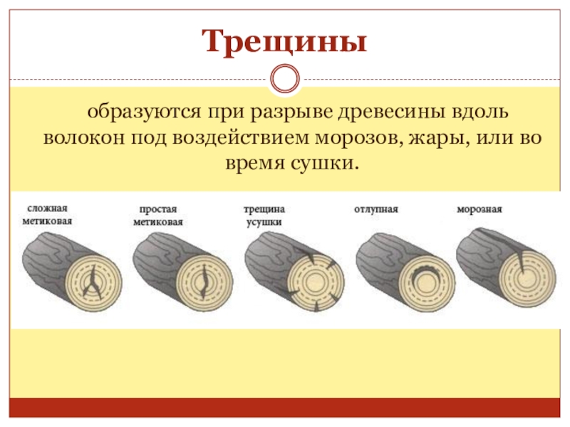 Срок заготовки древесины. Дерево вдоль волокон. Штриховка дерево вдоль волокон. Вдоль волокон древесины это как. Вид диаграммы сжатия древесины вдоль волокон.