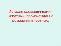 История одомашнивания животных, происхождение домашних животных