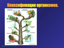 Классификация организмов.
http://galina.shh.com.ua/?cat=5