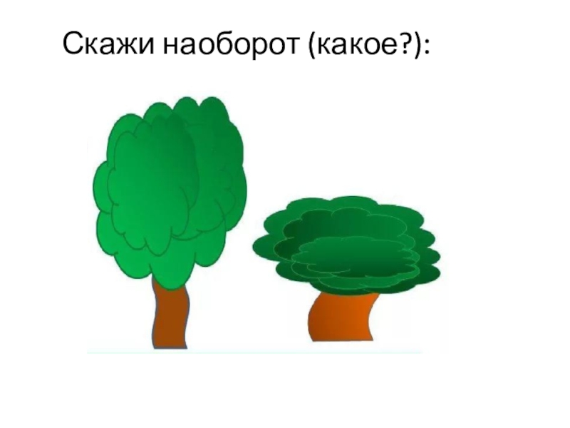 Скажи наоборот. Скажи наоборот деревья. Игра скажи наоборот овощи. Скажи наоборот растения. Скажи наоборот тема город.