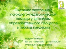 Оказание экстренной психолого-педагогической помощи участникам образовательного
