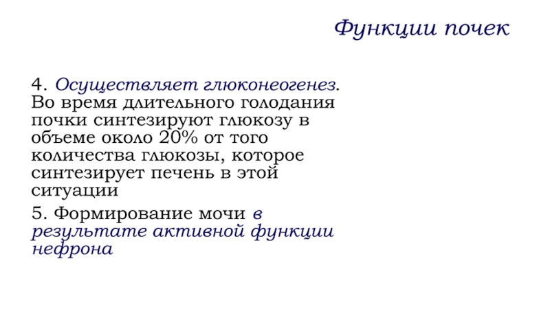 Функция почек синтез. Что синтезируют почки. Функции глюконеогенеза.