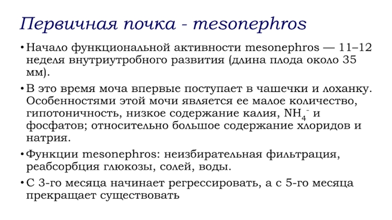 Анатомо физиологические особенности мочевыделительной системы у детей презентация