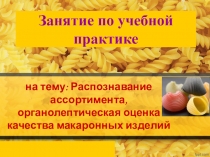 Занятие по учебной практике