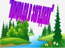 Природа в загадках