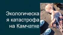 Экологическая катастрофа на Камчатке
СП 
