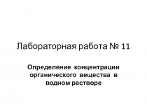 Лабораторная работа № 11