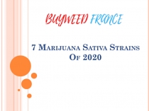 7 Marijuana Sativa Strains Of 2020