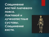 Соединения костей плечевого пояса. Локтевой и лучезапястные суставы. Соединения