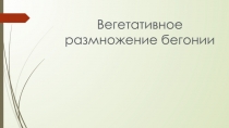 Вегетативное размножение бегонии