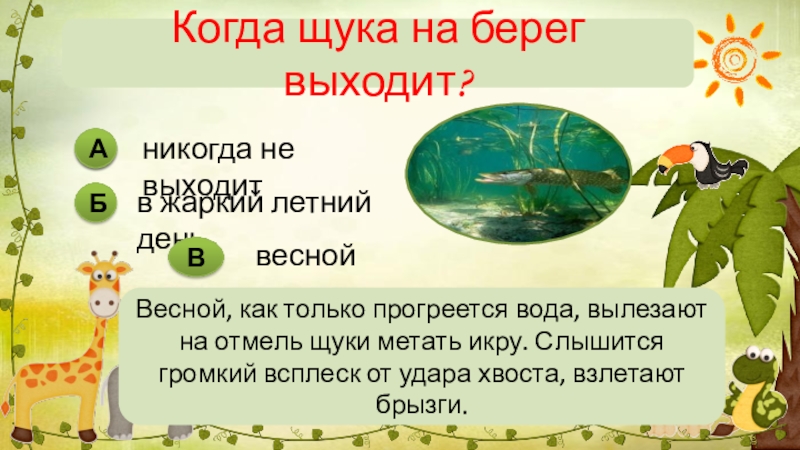 Урчат лягушки предложение