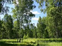 Почва