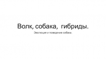 Волк, собака, гибриды