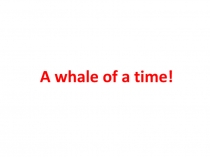 A whale of a time!