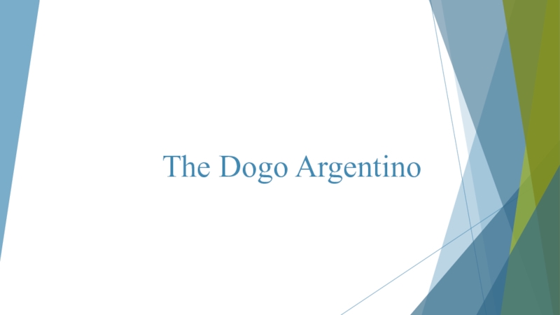 Презентация The Dogo Argentino