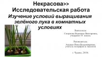 МАОУ <<СОШ № 1 им.Н.А Некрасова>> Исследовательская работа