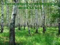 Родная природа в стихотворениях поэтов XX века