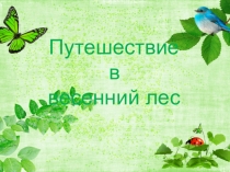 Путешествие в весенний лес