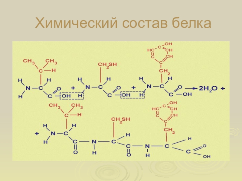 Химические химические белков. Химический состав стабилизатора. Химический состав белков суслика. Ионогенные группировки встречающиеся в составе белка. Белок в составе латекса.