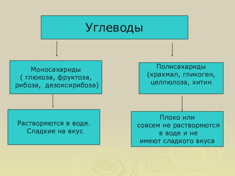 Глюкоза и фруктоза относятся к. Полисахариды растворимы в воде. Полисахариды крахмал гликоген хитин. Глюкоза рибоза фруктоза моносахариды или полисахариды. Рибоза это моносахарид или полисахарид.