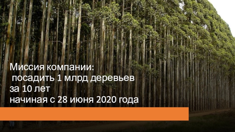 Миссия компании: посадить 1 млрд деревьев за 10 лет начиная с 28 июня 2020 года