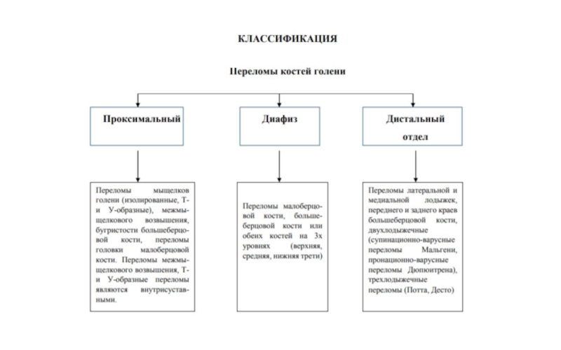 Презентация переломы голени классиф+вывихи