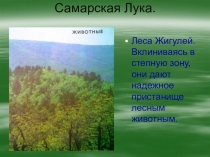 Самарская Лука