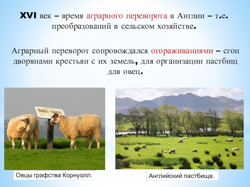 Аграрная революция в англии. Аграрный переворот в Англии 16 век. Аграрный переворот в Англии в XVI веке. Аграрная революция в Англии что такое огораживание. Что такое Аграрная революция в Англии 7 класс.